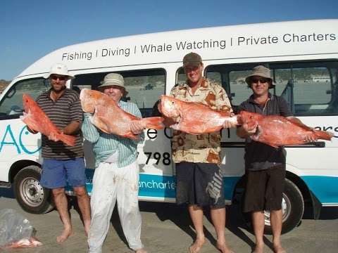 Photo: Absolute Ocean Charters